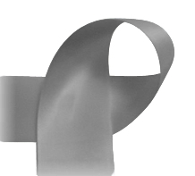 Steel - 7/8" Ribbon