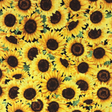 Yellow #18 - Cotton Calico