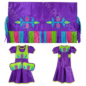 Girls 2-3 Fancy Shawl Outfit