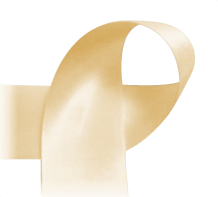 Buttercream - 3/8" Ribbon