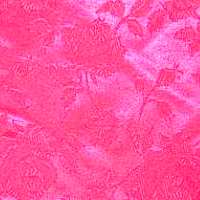 Neon Pink - Floral Satin