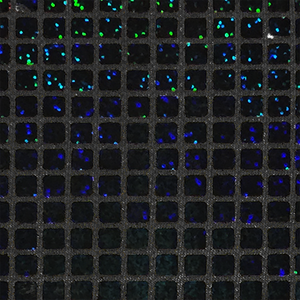 Black - Sparkle Hologram Square